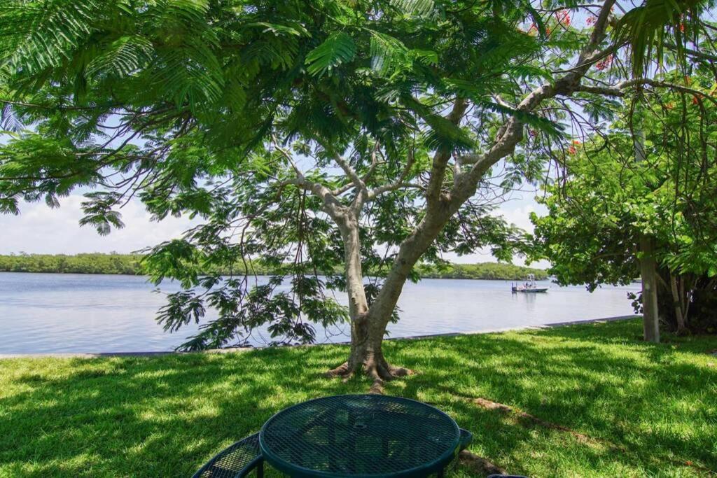 Sea Spray, Studio 114, Beach Steps Away! Pool+Wifi Ruskin Exterior foto